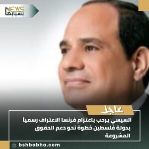 IMG-20250726-WA0128-300x300 السيسي يرحب باعتزام فرنسا الاعتراف رسميًا بدولة فلسطين خطوة نحو دعم الحقوق المشروعة