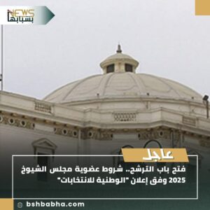 صورة-واتساب-بتاريخ-1447-01-10-في-12.05.32_7282e8b7-300x300 تعرف على شروط عضوية مجلس الشيوخ 2025 وفقًا لإعلان الوطنية للانتخابات