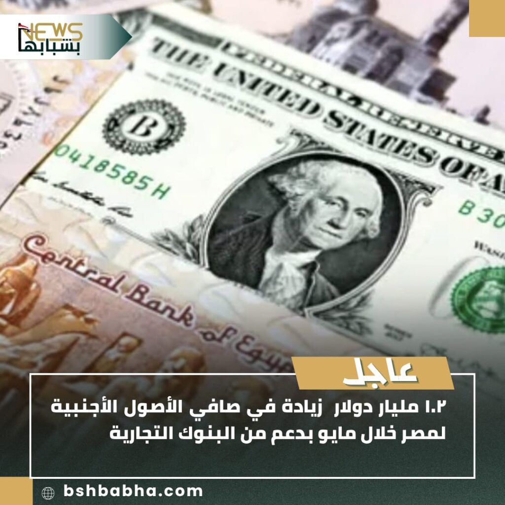 صورة-واتساب-بتاريخ-1447-01-12-في-22.48.12_09a9e20d-1024x1024 ارتفاع صافي الأصول الأجنبية في مصر 1.2 مليار دولار خلال مايو بدعم من البنوك التجارية