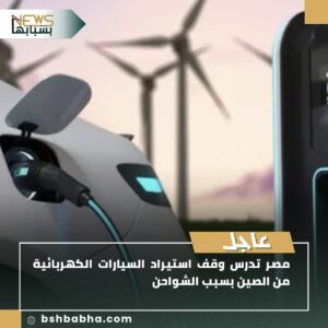 صورة-واتساب-بتاريخ-1447-02-04-في-17.05.37_0c8b86bc-300x300 مصر تدرس وقف استيراد السيارات الكهربائية من الصين بسبب الشواحن