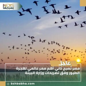صورة-واتساب-بتاريخ-1447-03-08-في-13.43.46_dda5d83c-300x300 مصر تُصبح ثاني أهم ممر عالمي لهجرة الطيور وفق تصريحات وزارة البيئة