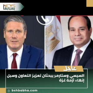 1_20250911_191349_0000-300x300 السيسي وستارمر يبحثان تعزيز التعاون وسبل إنهاء أزمة غزة