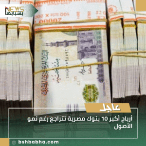 1_20250925_205045_0000-300x300 أرباح أكبر 10 بنوك مصرية تتراجع رغم نمو الأصول