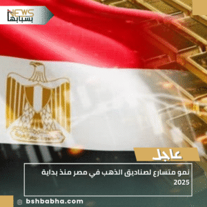1_20250929_135954_0000-300x300 نمو متسارع لصناديق الذهب في مصر منذ بداية 2025