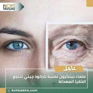 صورة-واتساب-بتاريخ-1447-03-14-في-15.06.48_87742112-300x300 علماء يبتكرون تقنية باركود جيني لتتبع الخلايا المعدلة