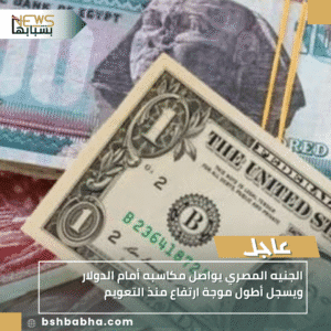 1_20251007_233205_0000-300x300 الجنيه المصري يواصل مكاسبه أمام الدولار ويسجل أطول موجة ارتفاع منذ التعويم