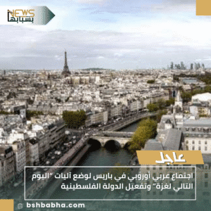 1_20251008_220550_0000-300x300 اجتماع عربي أوروبي في باريس لوضع آليات “اليوم التالي لغزة” وتفعيل الدولة الفلسطينية