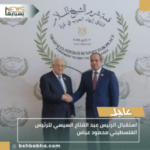 1_20251013_170124_0000-300x300 استقبال الرئيس عبد الفتاح السيسي للرئيس الفلسطيني محمود عباس