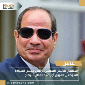 1_20251015_173224_0000-300x300 استقبال الرئيس السيسي لرئيس مجلس السيادة السوداني الفريق أول عبد الفتاح البرهان