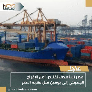 1_20251016_183519_0000-300x300 مصر تستهدف تقليص زمن الإفراج الجمركي إلى يومين قبل نهاية العام