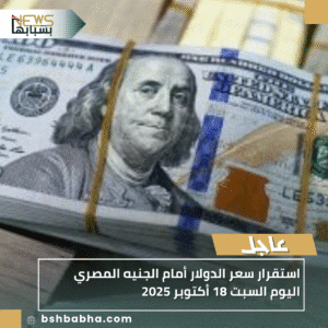 1_20251018_222001_0000-300x300 استقرار سعر الدولار أمام الجنيه المصري اليوم السبت 18 أكتوبر 2025