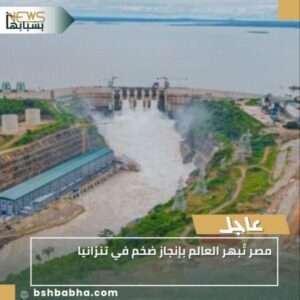 IMG_٢٠٢٥١٠٠١_١٧٠٠٢٠-1-300x300 مصر تُبهر العالم بإنجاز ضخم في تنزانيا