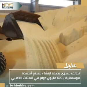 IMG_٢٠٢٥١٠٠٤_٢٢١٠٤٩-300x300 تحالف مصري يخطط لإنشاء مصنع أسمدة فوسفاتية بـ600 مليون دولار في المثلث الذهبي