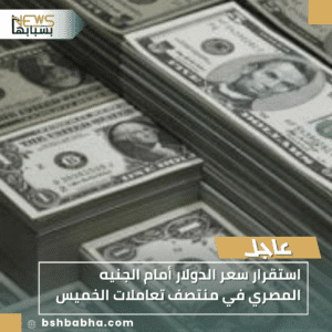 1_20251106_160428_0000-300x300 استقرار سعر الدولار أمام الجنيه المصري في منتصف تعاملات الخميس