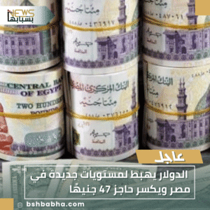 1_20251117_182200_0000-300x300 الدولار يهبط لمستويات جديدة في مصر ويكسر حاجز 47 جنيهًا