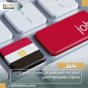 1_20251121_181207_0000-300x300 ارتفاع عدد المشتغلين في مصر 3% بالربع الثالث مدفوعًا بتوسع قوة العمل