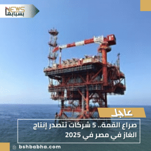 1_20251123_174136_0000-300x300 صراع القمة.. 5 شركات تتصدر إنتاج الغاز في مصر في 2025