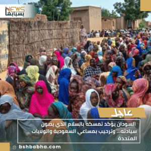 1_20251125_212544_0000-300x300 السودان يؤكد تمسكه بالسلام الذي يصون سيادته… وترحيب بمساعي السعودية والولايات المتحدة