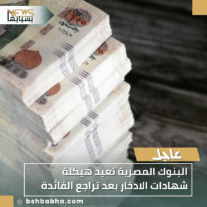1_20251125_225252_0000-300x300 البنوك المصرية تعيد هيكلة شهادات الادخار بعد تراجع الفائدة