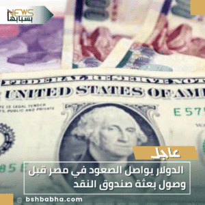 1_20251125_225916_0000-300x300 الدولار يواصل الصعود في مصر قبل وصول بعثة صندوق النقد