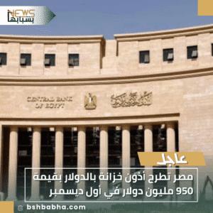 1_20251127_202927_0000-300x300 مصر تطرح أذون خزانة بالدولار بقيمة 950 مليون دولار في أول ديسمبر