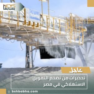 1_20251127_203321_0000-300x300 تحذيرات من تضخم التمويل الاستهلاكي في مصر