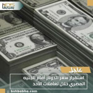 IMG-20251102-WA0053-300x300 استقرار سعر الدولار أمام الجنيه المصري خلال تعاملات الأحد