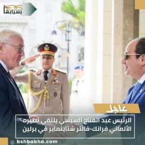 IMG-20251102-WA0056-300x300 الرئيس عبد الفتاح السيسي يلتقي نظيره الألماني فرانك-فالتر شتاينماير في برلين