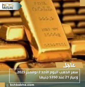 IMG-20251102-WA0059-296x300 سعر الذهب اليوم الأحد 2 نوفمبر 2025.. وعيار 21 عند 5350 جنيها