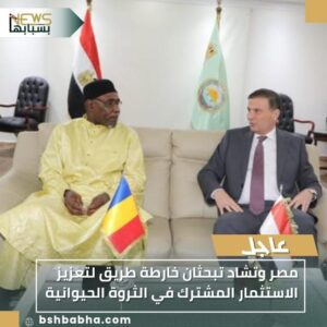 IMG-20251116-WA0003-300x300 مصر وتشاد تبحثان خارطة طريق لتعزيز الاستثمار المشترك في الثروة الحيوانية