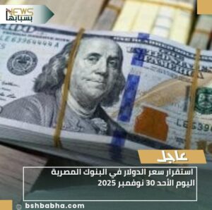 IMG-20251130-WA0091-300x298 استقرار سعر الدولار في البنوك المصرية اليوم الأحد 30 نوفمبر 2025