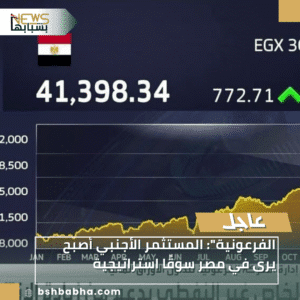 1_20251203_210109_0000-300x300 "الفرعونية": المستثمر الأجنبي أصبح يرى في مصر سوقًا استراتيجية