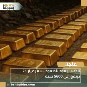 1_20251203_230832_0000-300x300 الذهب يعود للصعود.. سعر عيار 21 يرتفع إلى 5600 جنيه