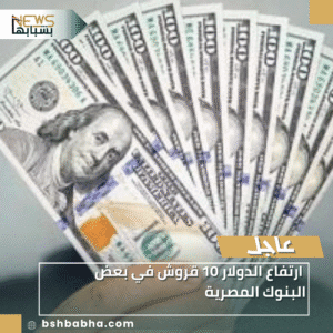 1_20251203_231703_0000-300x300 ارتفاع الدولار 10 قروش في بعض البنوك المصرية