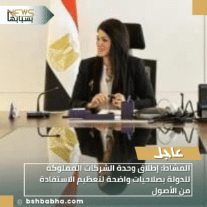 1_20251206_164413_0000-300x300 المشاط: إطلاق وحدة الشركات المملوكة للدولة بصلاحيات واضحة لتعظيم الاستفادة من الأصول