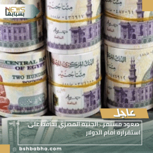 1_20251207_225439_0000-300x300 صعود مستمر.. الجنيه المصري يحافظ على استقراره أمام الدولار