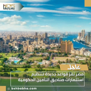 1_20251207_230625_0000-300x300 مصر تقرّ قواعد جديدة لتنظيم استثمارات صناديق التأمين الحكومية