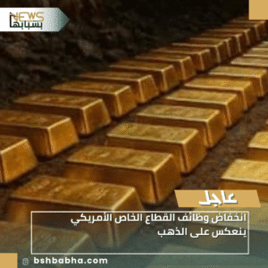 1_20251208_155209_0000-300x300 انخفاض وظائف القطاع الخاص الأمريكي ينعكس على الذهب