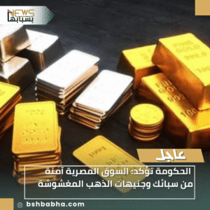 1_20251212_231646_0000-300x300 الحكومة تؤكد: السوق المصرية آمنة من سبائك وجنيهات الذهب المغشوشة