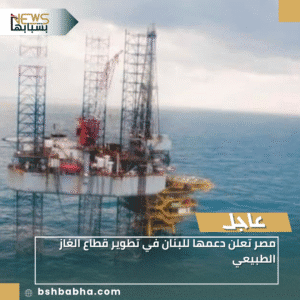 1_20251229_195444_0000-300x300 مصر تعلن دعمها للبنان في تطوير قطاع الغاز الطبيعي