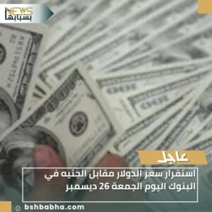 IMG-20251226-WA0037-300x300 استقرار سعر الدولار مقابل الجنيه في البنوك اليوم الجمعة 26 ديسمبر