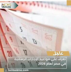 IMG-20251228-WA0059-293x300 تعرف على مواعيد الإجازات الرسمية في مصر لعام 2026