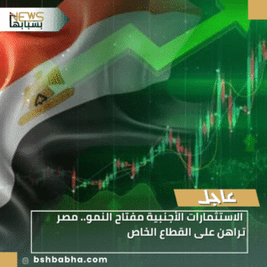 1_20260110_001731_0000-300x300 الاستثمارات الأجنبية مفتاح النمو.. مصر تراهن على القطاع الخاص