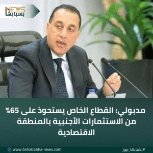 4_20260111_152915_0003-300x300 مدبولي: القطاع الخاص يستحوذ على 65% من الاستثمارات الأجنبية بالمنطقة الاقتصادية