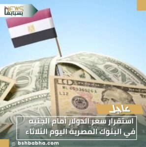 IMG-20260107-WA0001-297x300 استقرار سعر الدولار أمام الجنيه في البنوك المصرية اليوم الثلاثاء
