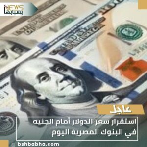 IMG-20260108-WA0059-300x300 استقرار سعر الدولار أمام الجنيه في البنوك المصرية اليوم