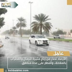 IMG-20260109-WA0027-300x300 الأرصاد تحذر من رياح مثيرة للرمال واضطراب بالملاحة.. وأمطار على عدة مناطق