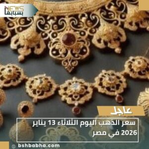 IMG-20260113-WA0022-300x300 سعر الذهب اليوم الثلاثاء 13 يناير 2026 في مصر