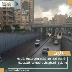 IMG-20260121-WA0008-300x300 الأرصاد تحذر من نشاط رياح مثيرة للأتربة وارتفاع الأمواج على السواحل الشمالية