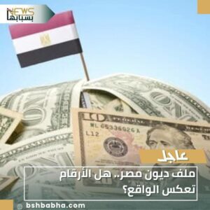 IMG-20260104-WA0003-300x300 ملف ديون مصر.. هل الأرقام تعكس الواقع؟